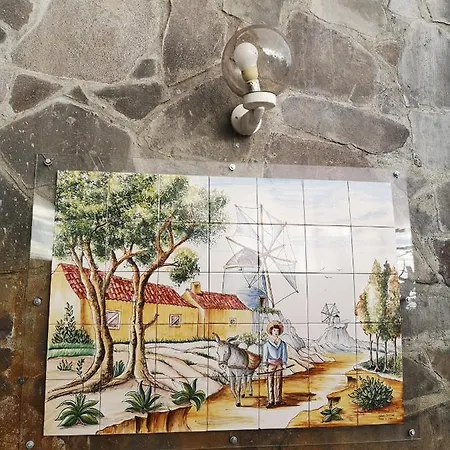 Casa-albatros *