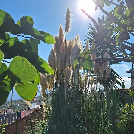 Casa-albatros 펜션 *