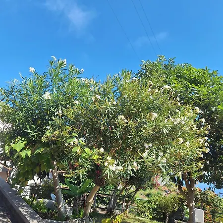 Casa-albatros 펜션 폰타도솔