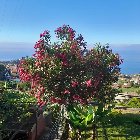 Casa-albatros Ponta do Sol (Madeira)