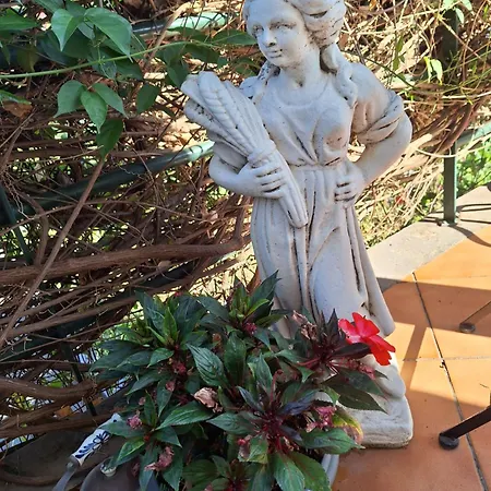 펜션 Casa-albatros *