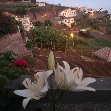 Casa-albatros * Ponta do Sol (Madeira)