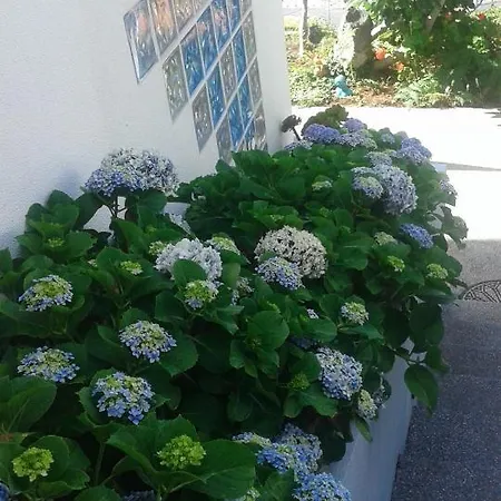 別荘 Casa-albatros *