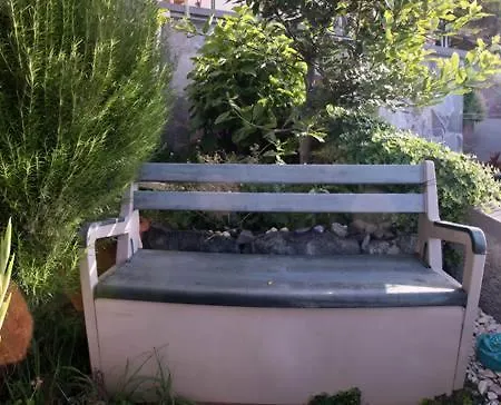 Casa-albatros *