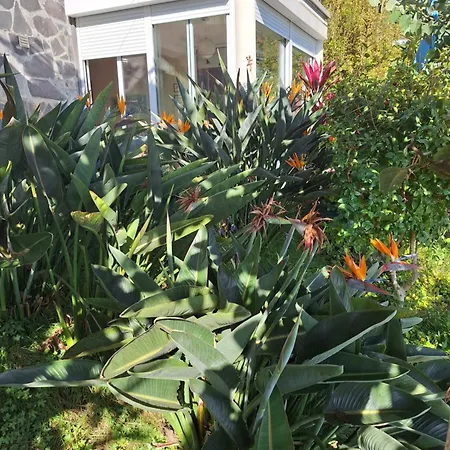 Tatil Evi Casa-albatros *