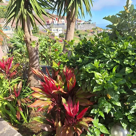 Casa-albatros * ポンタ・ド・ソル