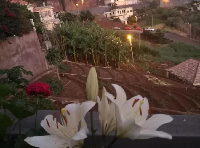 Casa-albatros * Ponta do Sol (Madeira)