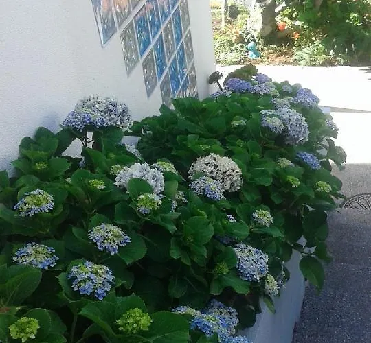 Tatil Evi Casa-albatros *