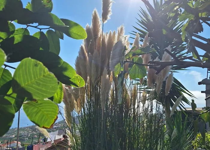 Casa-albatros Сasa de vacaciones *