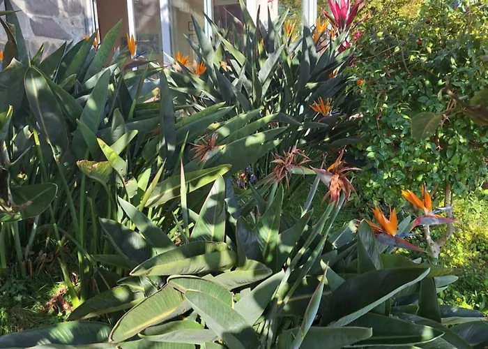 Сasa de vacaciones Casa-albatros *