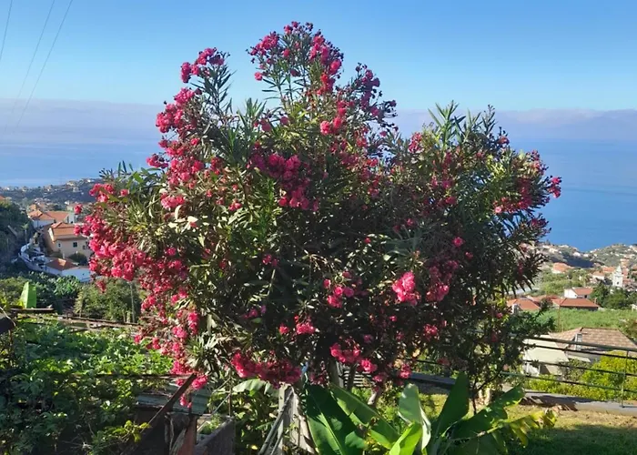 Casa-albatros Ponta do Sol (Madeira)